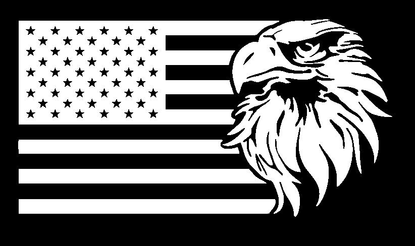 Eagle/Flag decal